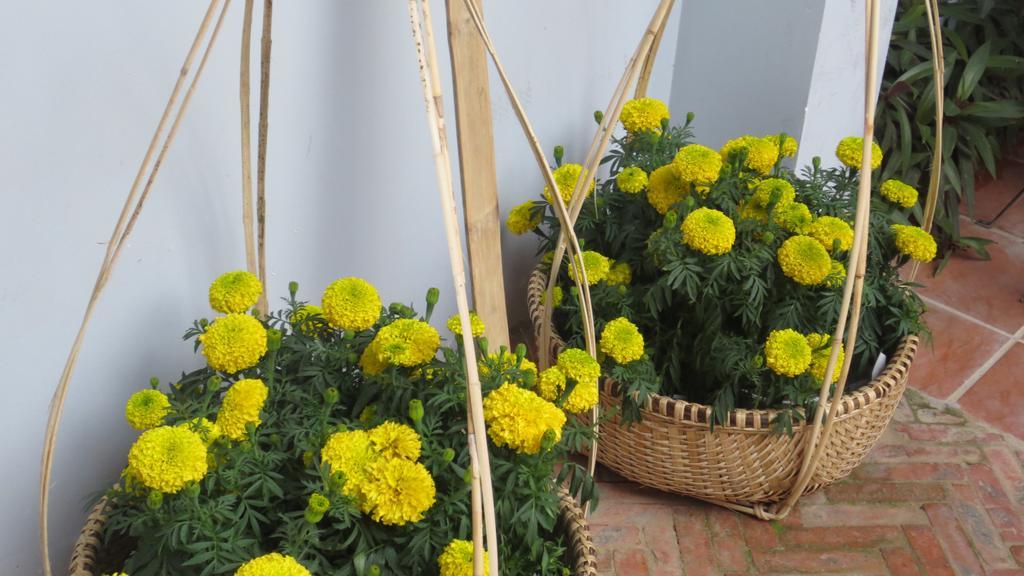 Charming Homestay