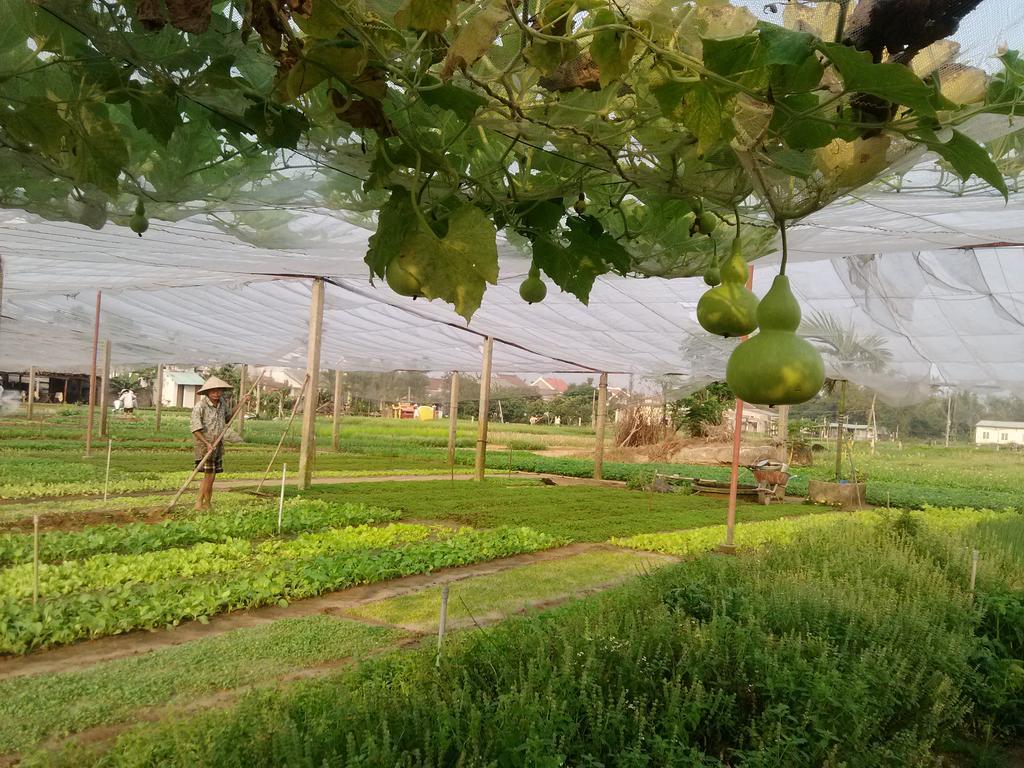 Charming Homestay