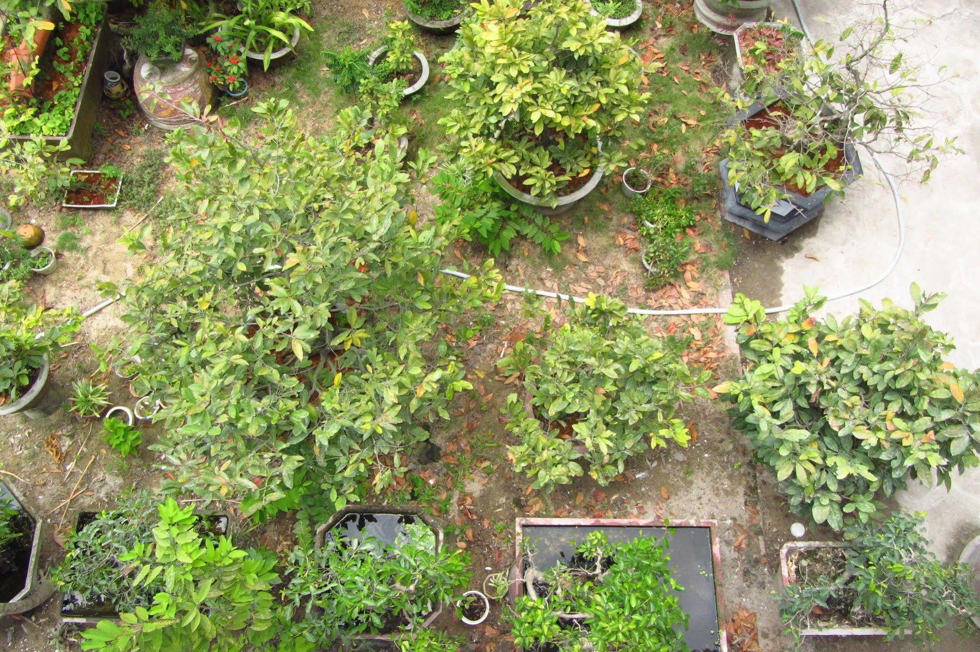 Homestay Charming Hoi An