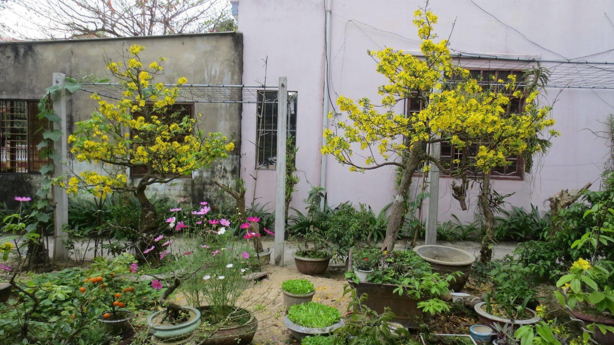 Homestay Charming Hoi An