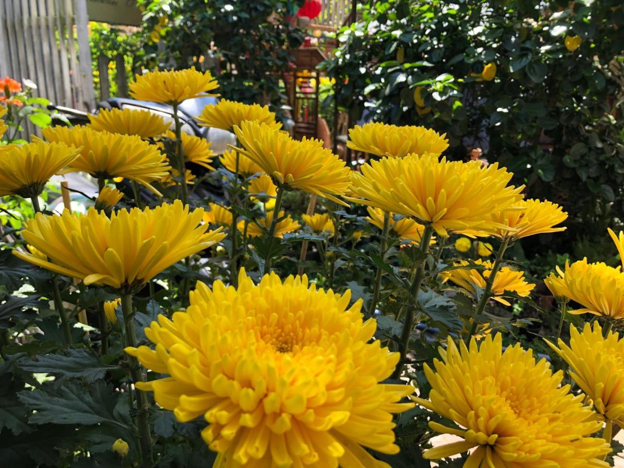 Homestay Charming