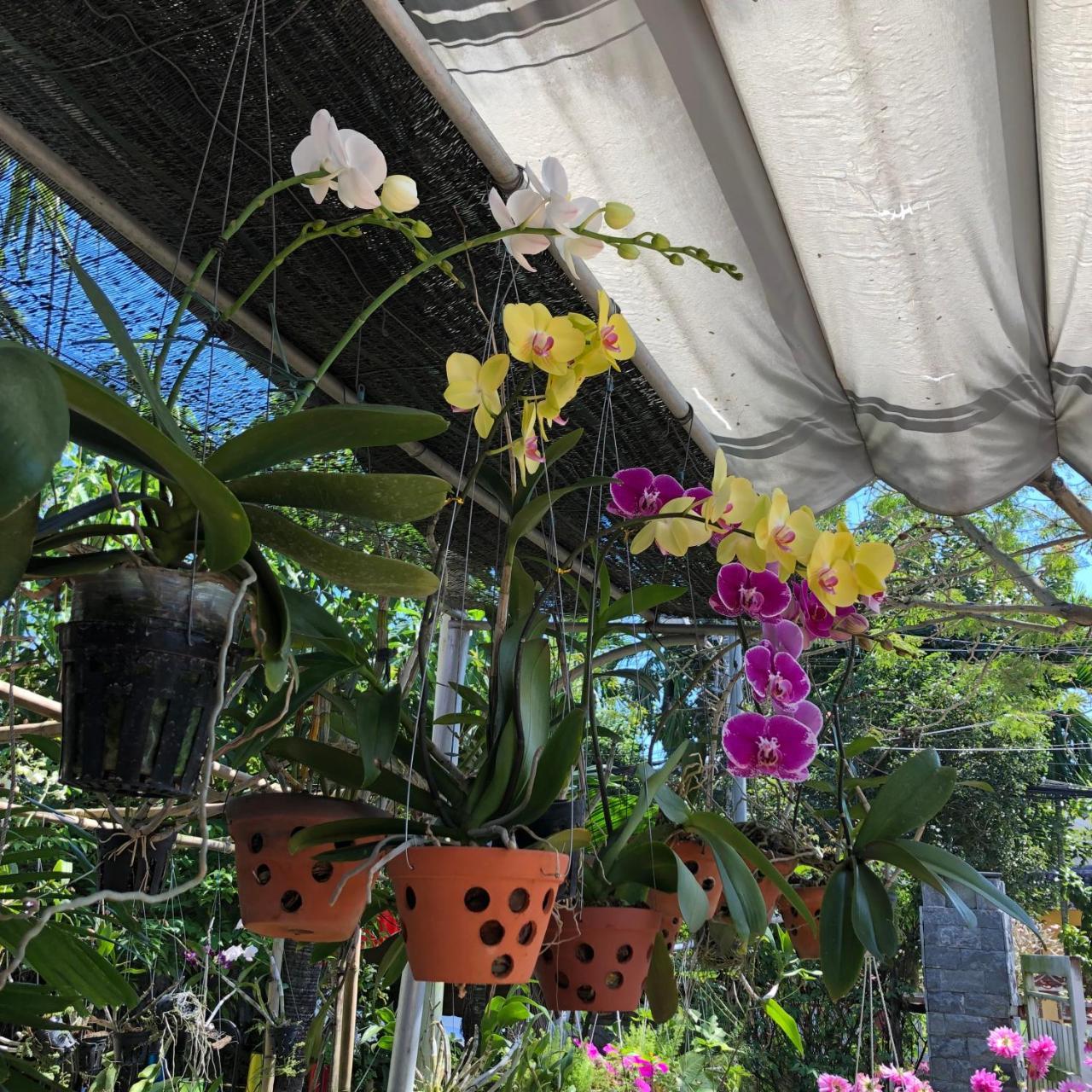 Homestay Charming Hoi An