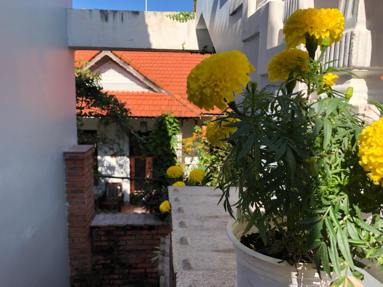 Charming * Hoi An